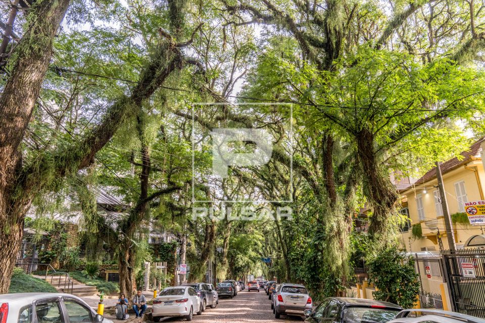 Túnel Verde formado por árvores tipuanas na Rua Gonçalo de Carvalho - bairro Independência - decretada Pat