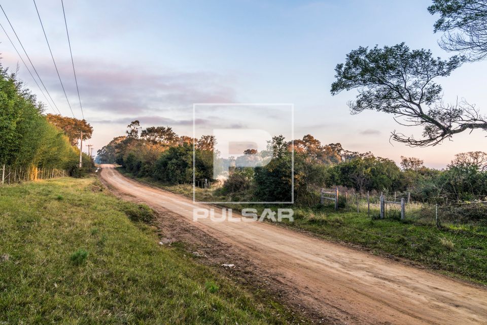 Estrada de terra na zona rural