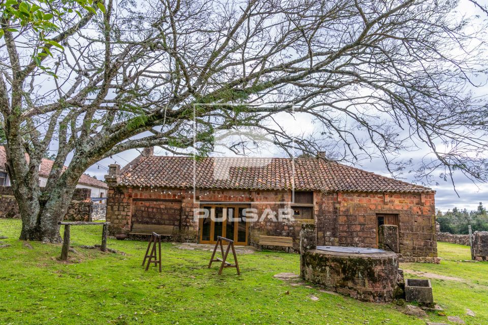Vinícola em estância de 1790 