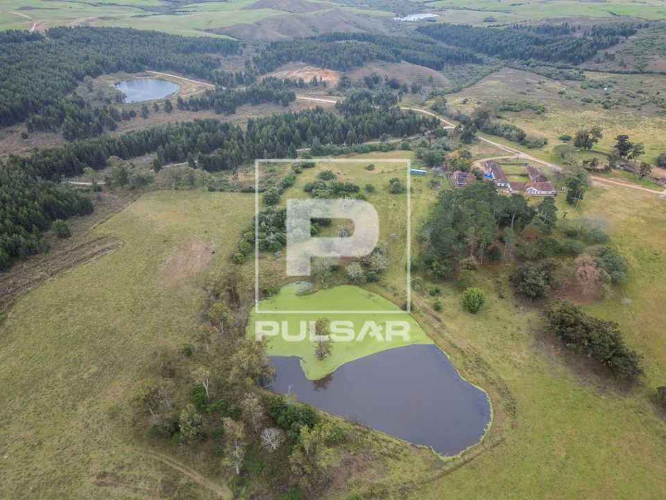 Vista de drone de açude em estância de 1790 - ao fundo plantação de eucaliptos