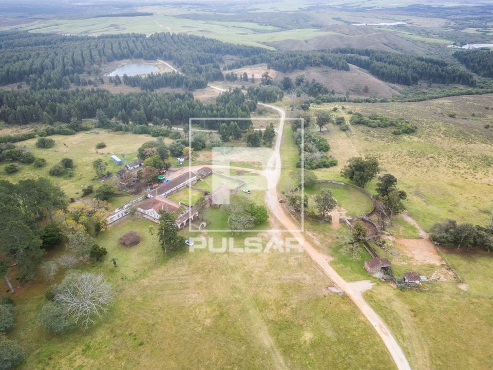 Vista de drone de estância de 1790 - ao fundo plantação de eucaliptos