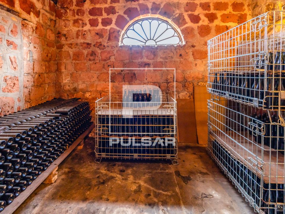 Garrafas de vinhos em adega em estância de 1790