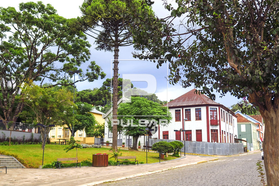 Araucaria em praça e casa com arquitetura típica italiana - ao fundo - 