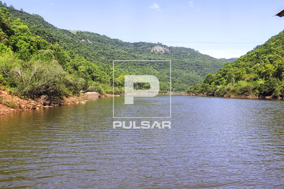 Rio das Antas e vegetação de mata atlântica ao fundo - 
