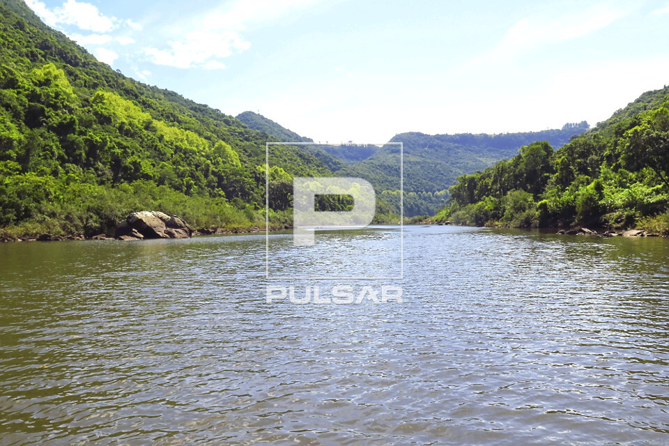 Rio das Antas e vegetação de mata atlântica ao fundo - 