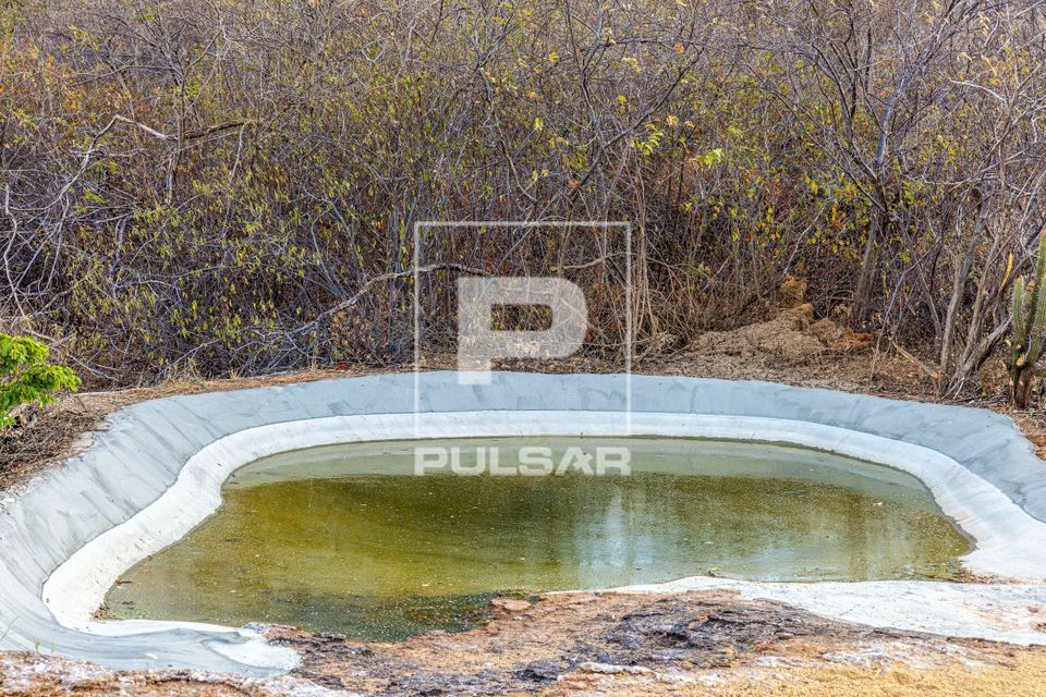 Reservatório artificial de água para animais silvestres na estação seca - PARNA da Serra da Capirava