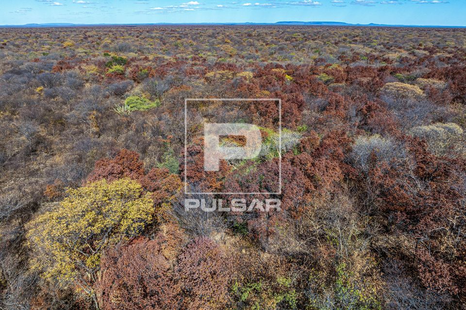 Vista de drone da caatinga secando - fim do outono - Parque Nacional da Serra da Capivara