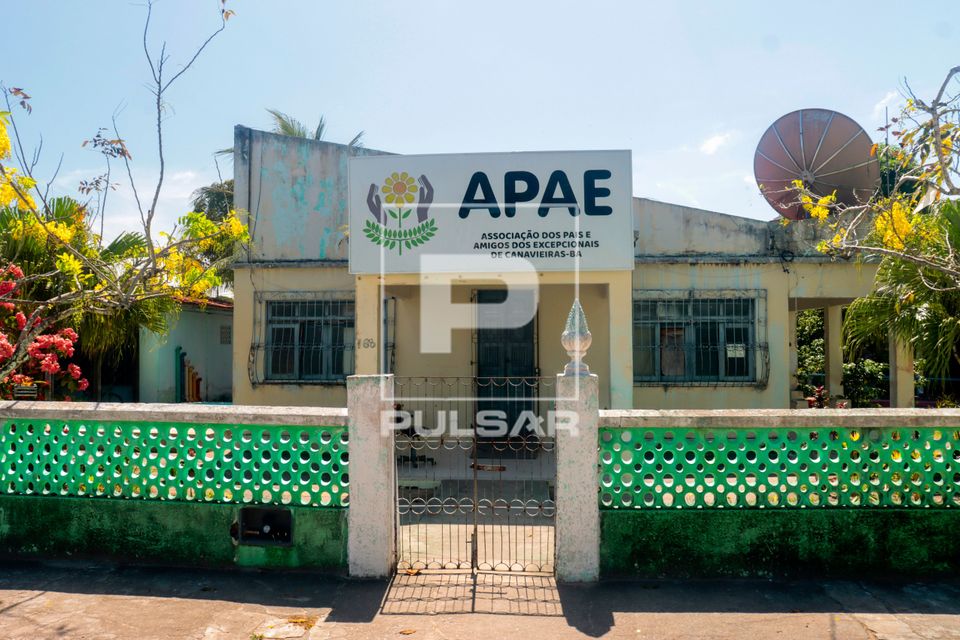 APAE Associação de Pais e Amigos dos Excepcionais