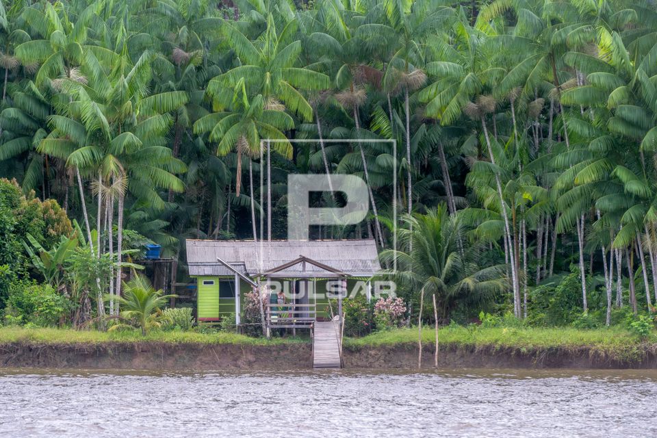 Casa de madeira típica de comunidades ribeirinhas na margem do Rio Amazonas - Ilha de Marajó