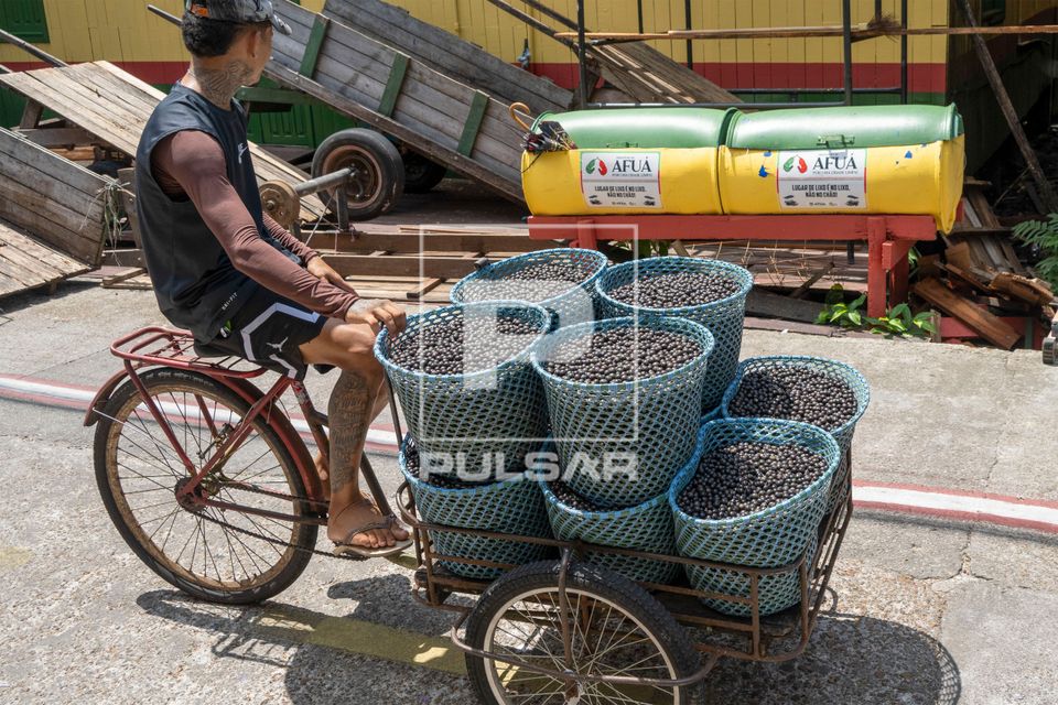 Comercialização ambulante de cestos de açaí utilizando triciclo
