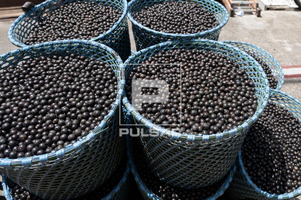 Cestos de açaí à venda 