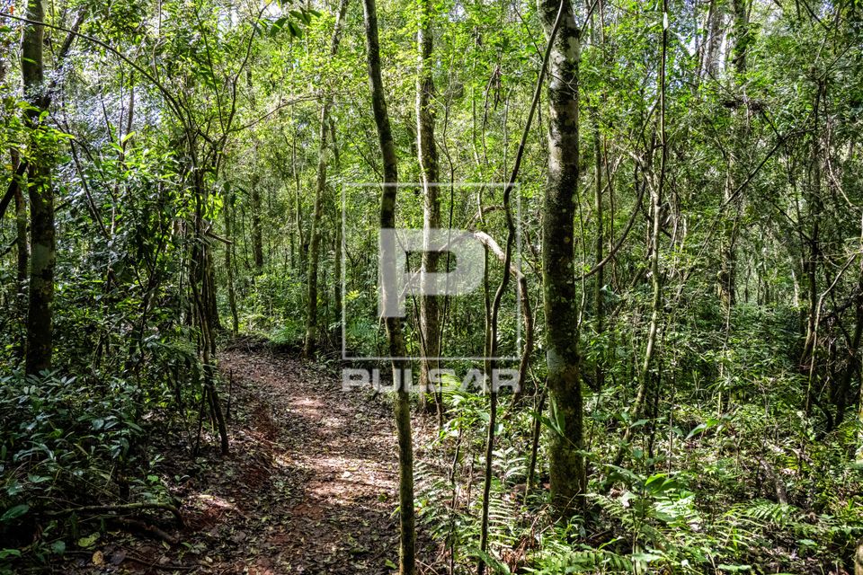 Trilha do Circuito São João - Parque Nacional do Iguaçu
