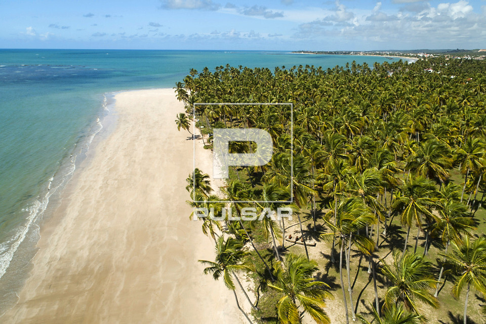 Vista de drone da praia dos Carneiros