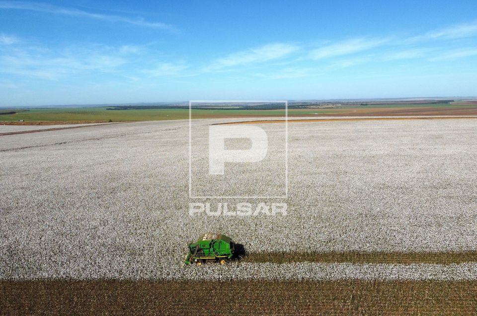 Vista de drone de colheitadeira de fuso que faz o enfardamento do algodão durante a colheita