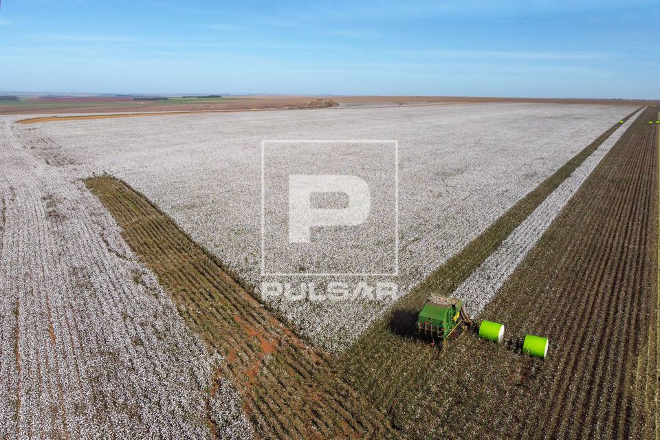 Vista de drone de colheitadeira de fuso que faz o enfardamento do algodão durante a colheita