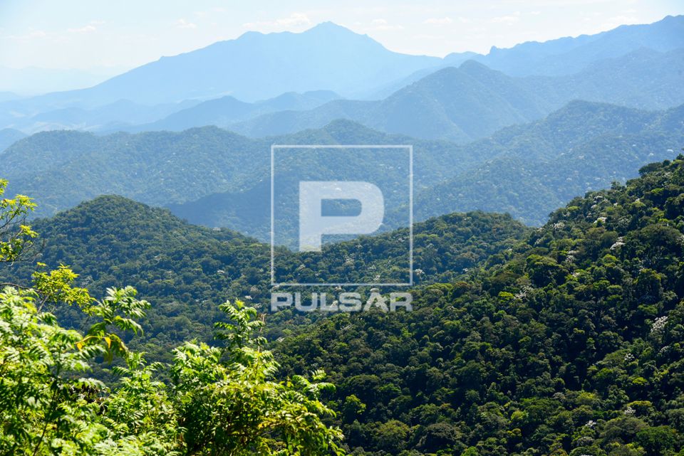Paisagem da Serra do Mar