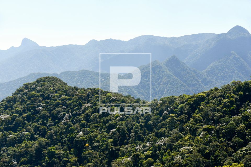 Paisagem da Serra do Mar