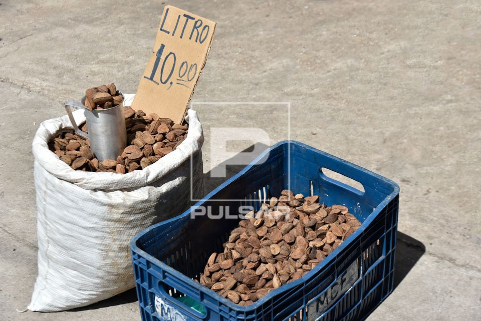 Castanha-do-pará com casca à venda por litro no Complexo Ver-o-Peso - bairro Cidade Velha - centro históric
