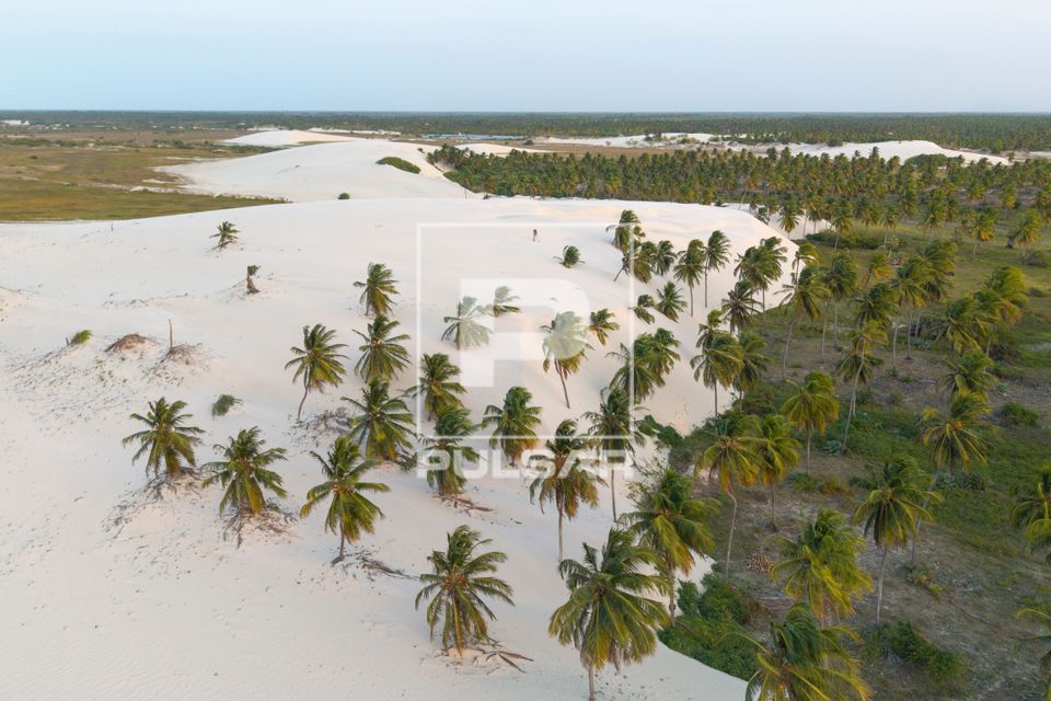 Vista de drone das dunas da Praia de Barrinha