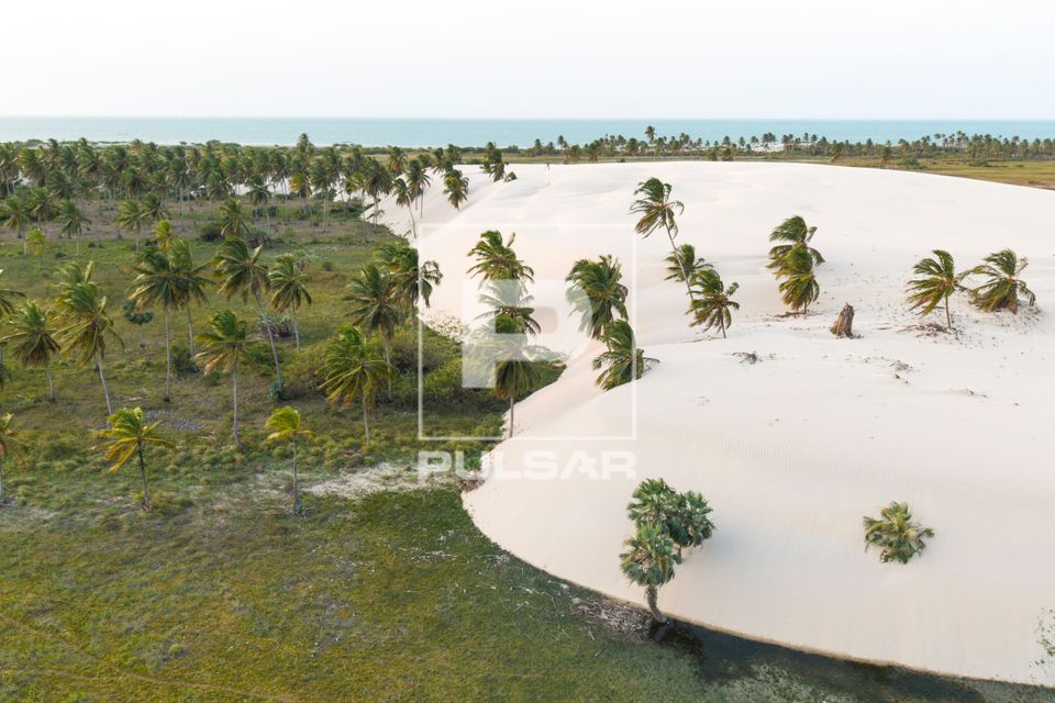 Vista de drone das dunas da Praia de Barrinha
