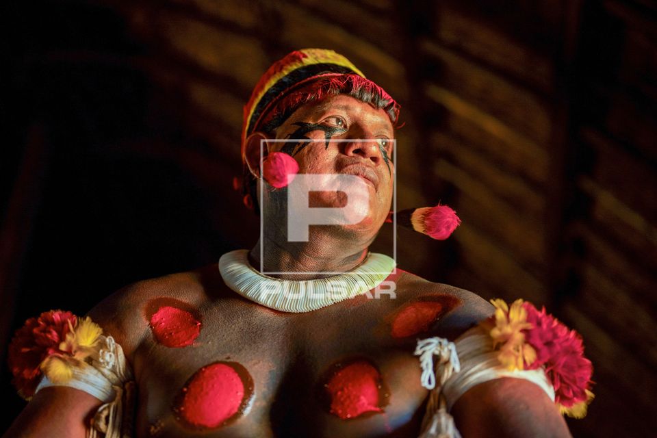Indígena Kuikuro da aldeia Ipatse pintado para ritual de Tawarawana - Parque Indígena do Xingu