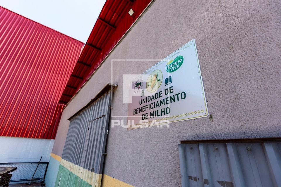 Unidade de beneficiamento de milho - produção de fubá no Complexo Agroindustrial de Grãos da Cooperativa C