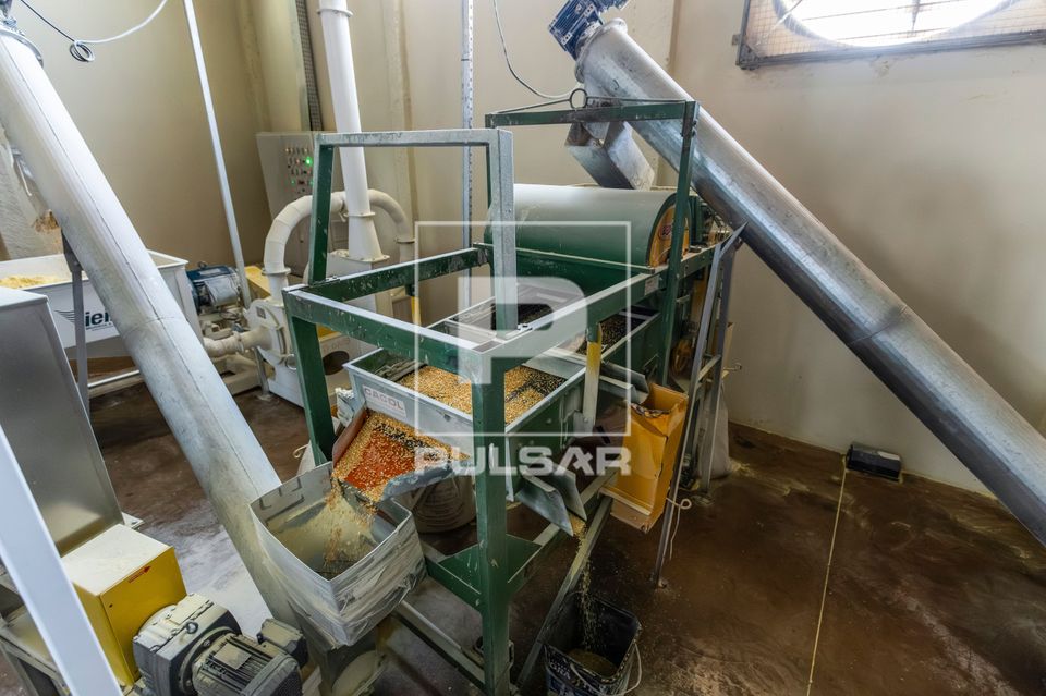 Produção de fubá na unidade de beneficiamento de milho no Complexo Agroindustrial de Grãos da Cooperativa 