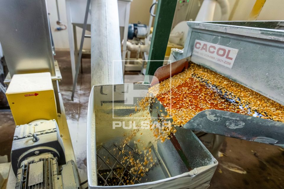 Produção de fubá na unidade de beneficiamento de milho no Complexo Agroindustrial de Grãos da Cooperativa 