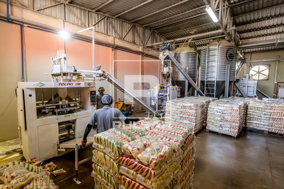 Produção de fubá na unidade de beneficiamento de milho no Complexo Agroindustrial de Grãos da Cooperativa 