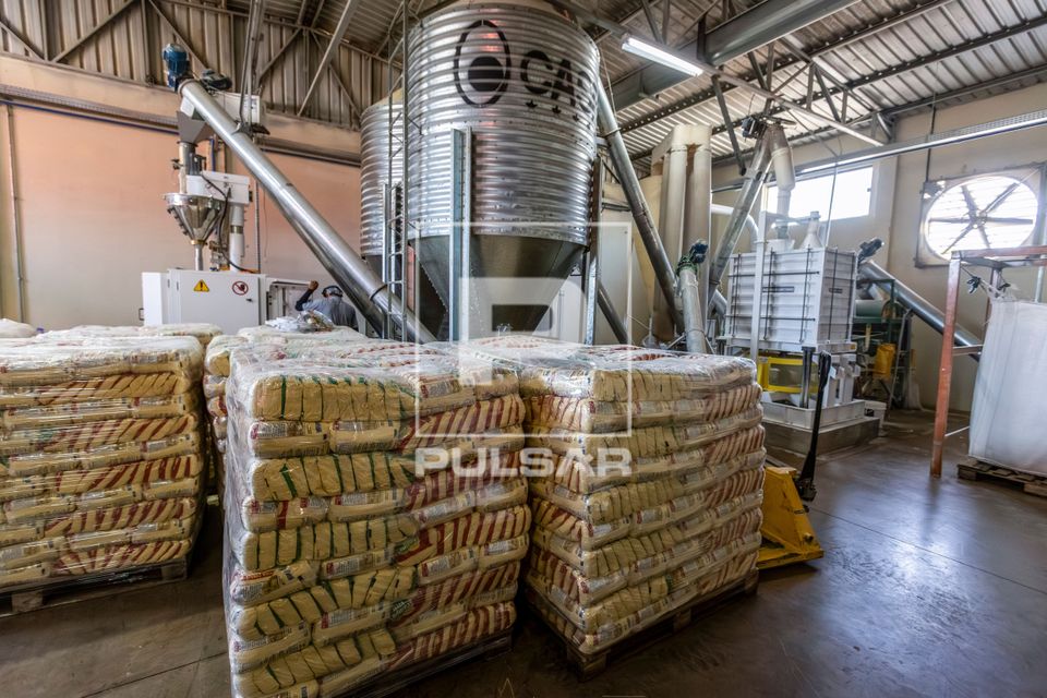 Pacotes de fubá de milho produzidos na unidade de beneficiamento de milho no Complexo Agroindustrial de Grão