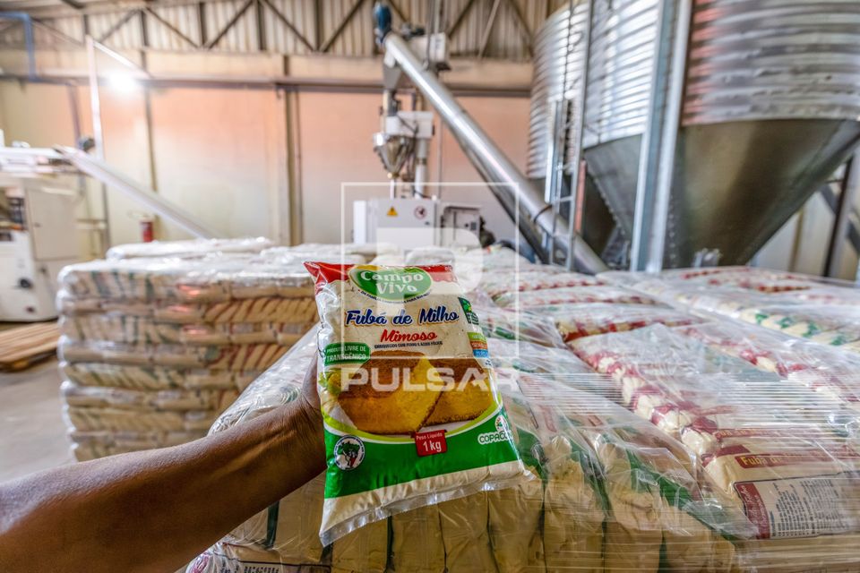 Fubá de milho produzido na unidade de beneficiamento de milho no Complexo Agroindustrial de Grãos da Coopera