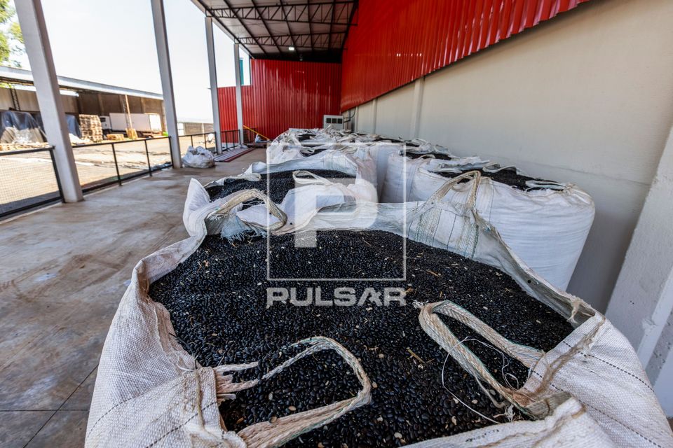 Feijão preto em big bag na unidade de beneficiamento de feijão no Complexo Agroindustrial de Grãos da Coope
