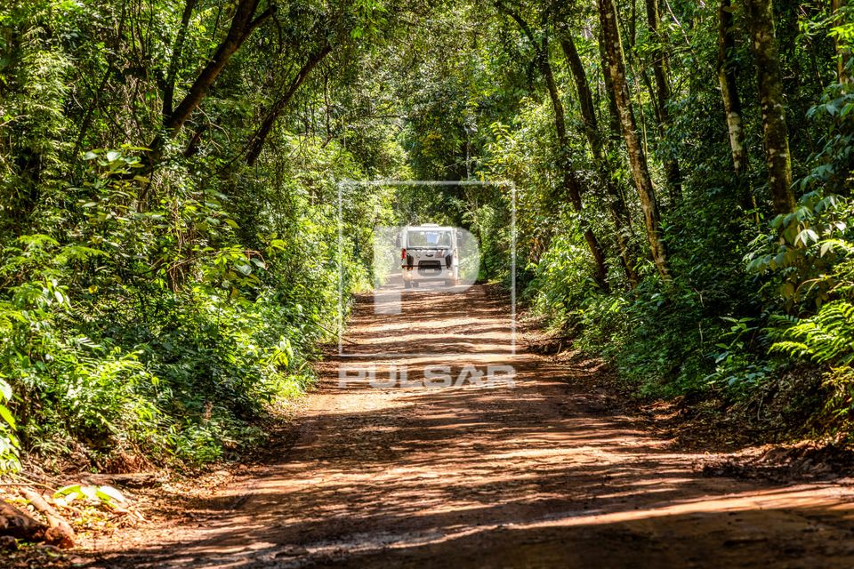 Estrada de terra dentro do Assentamento Eli Vive - MST Movimento dos Trabalhadores Rurais Sem Terra - distrito