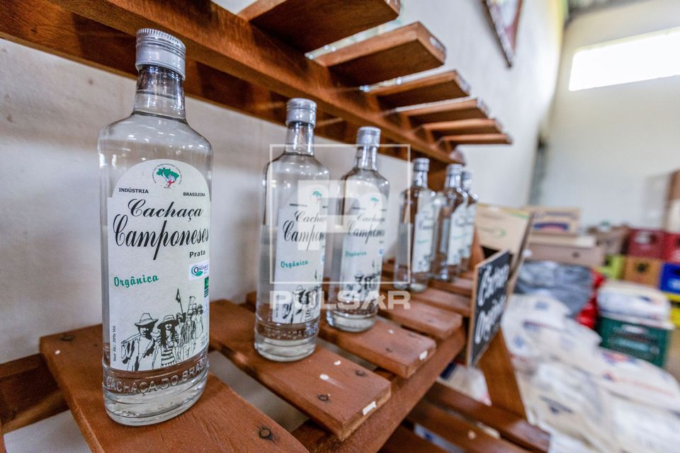 Cachaça orgânica à venda no Mercado da Reforma Agrária Popular no Assentamento Eli Vive - MST Movimento do