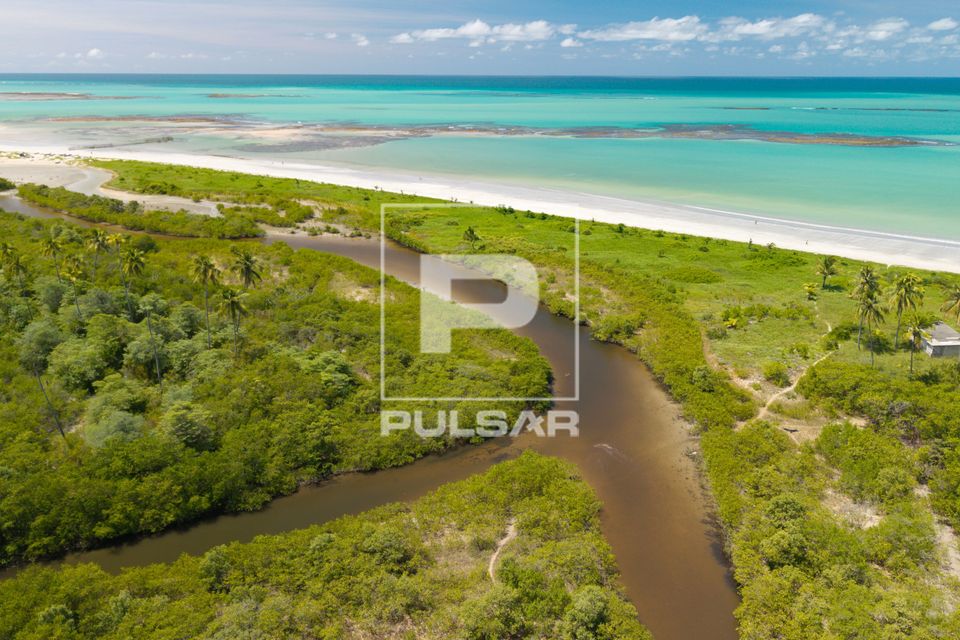 Vista de drone de riacho e vegetação de restinga na Praia de Ipioca - APA Costa dos Corais