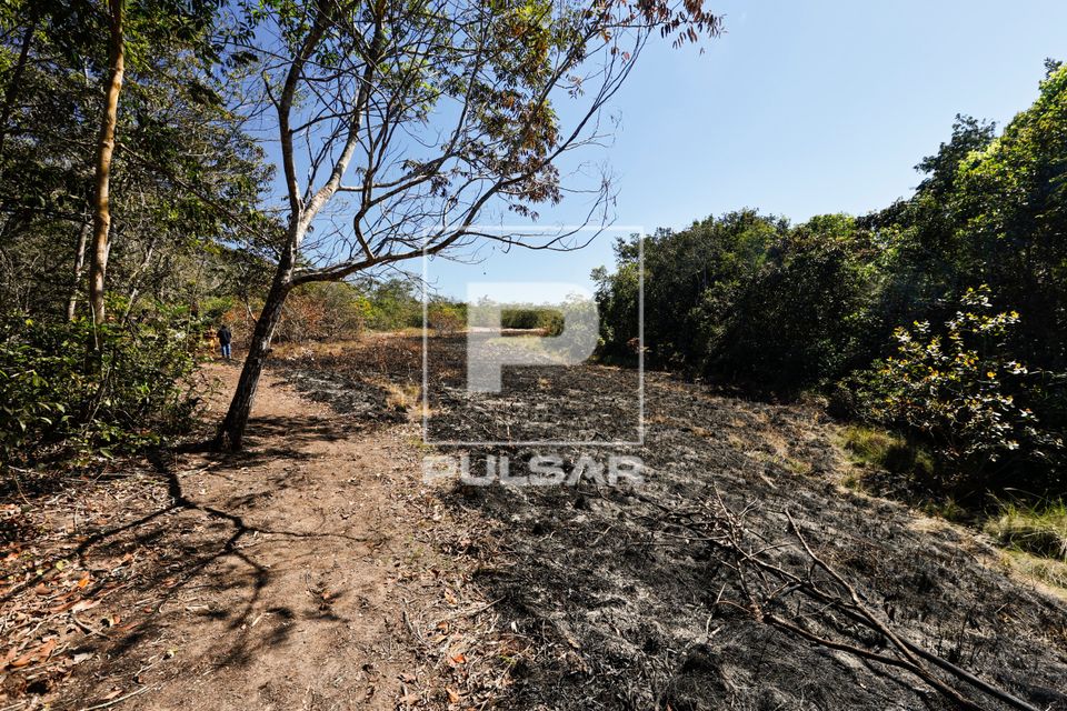 Aceiro faixa de terra sem vegetação para impedir propagação de incêndios nos arredores da Aldeia Katyalar
