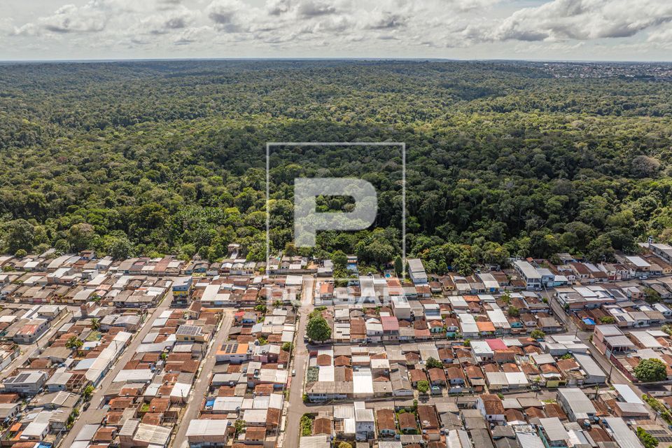 Contraste entre moradias do bairro Cidade de Deus e Jardim Botânico Adolpho Ducke do INPA