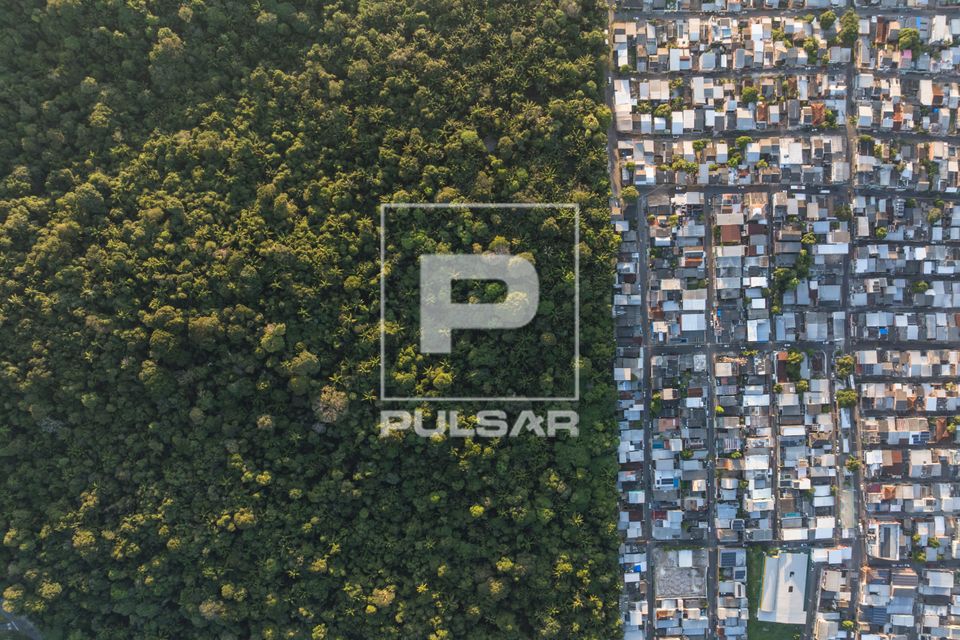 Contraste entre a floresta da UFAM Universidade Federal do Amazonas com moradias da cidade