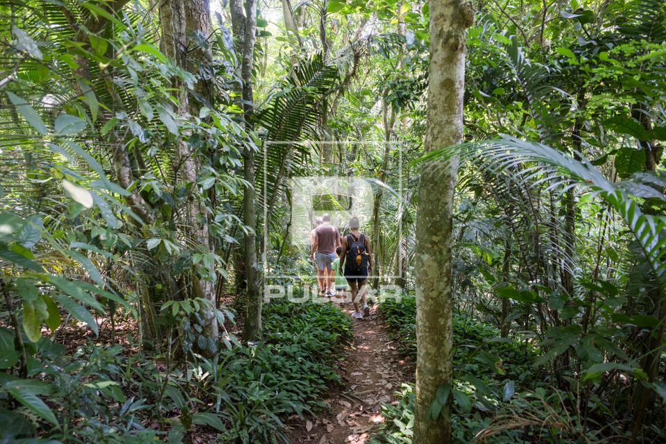 Trilha do Parque Estadual Cunhambebe - Costa Verde