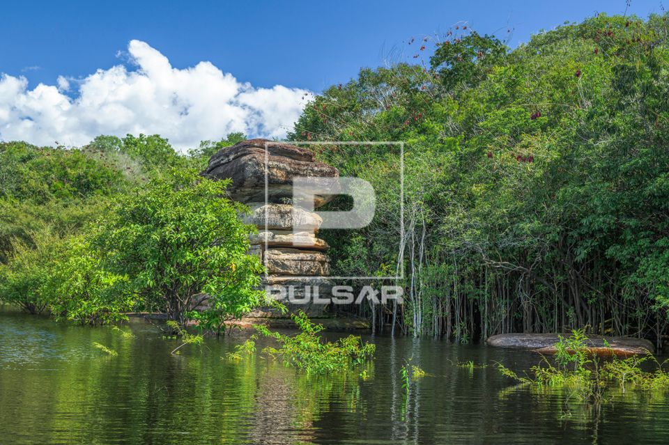 Pedra Sanduíche na margem do rio Negro - Parque Nacional de Anavilhanas