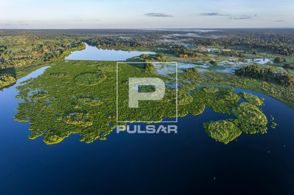 Vista de drone de planície alagavel do Pantanal
