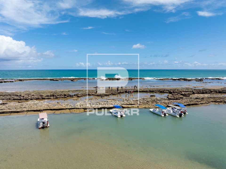 Vista de drone de turistas em piscina natural nos recifes de corais da praia do Gunga