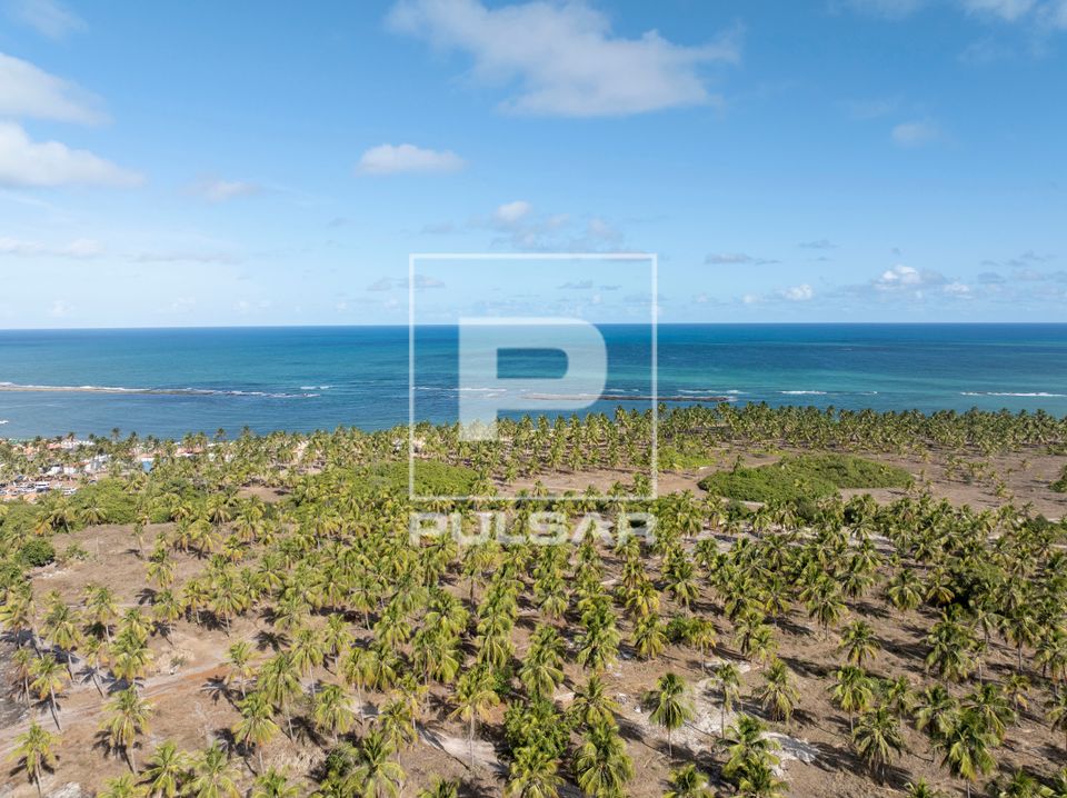 Vista de drone da Praia do Gunga 