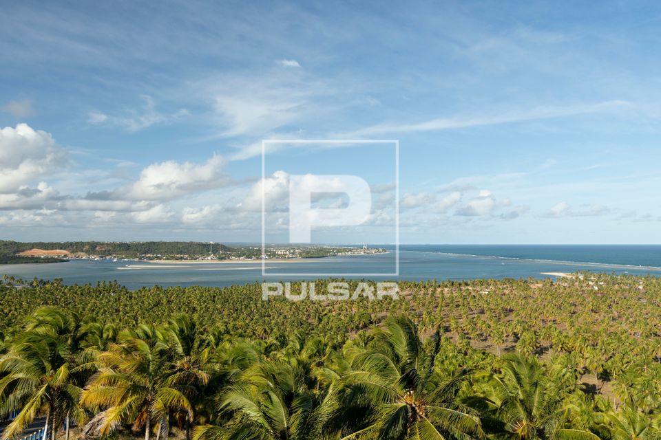 Vista de cima de coqueiral a partir do mirante da praia do Gunga e ao fundo foz da Lagoa do Roteiro
