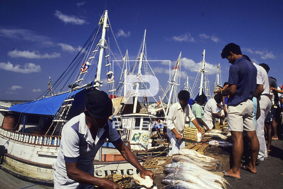 Venda de peixe no Mercado Vêr-o-Peso