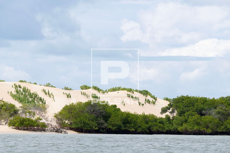 Dunas de Capim - Península de Galinhos - Pólo Costa Branca