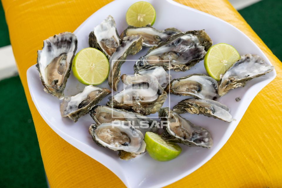 Ostras frescas 