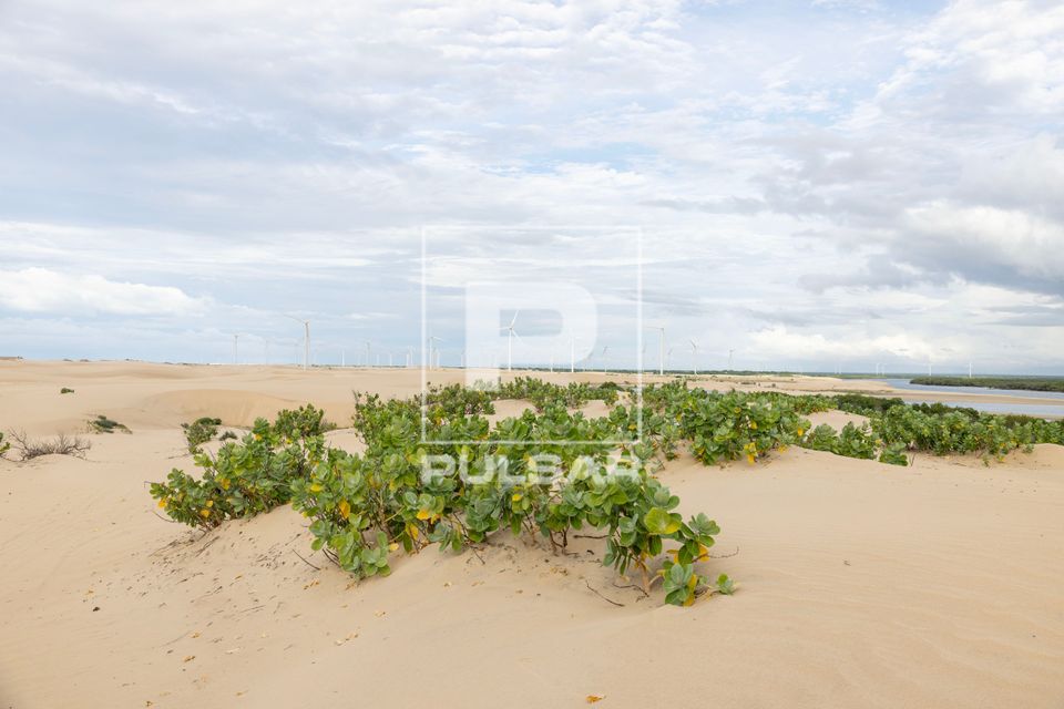 Dunas de Capim e ao fundo aerogeradores de parque eólico - Polo Costa Branca