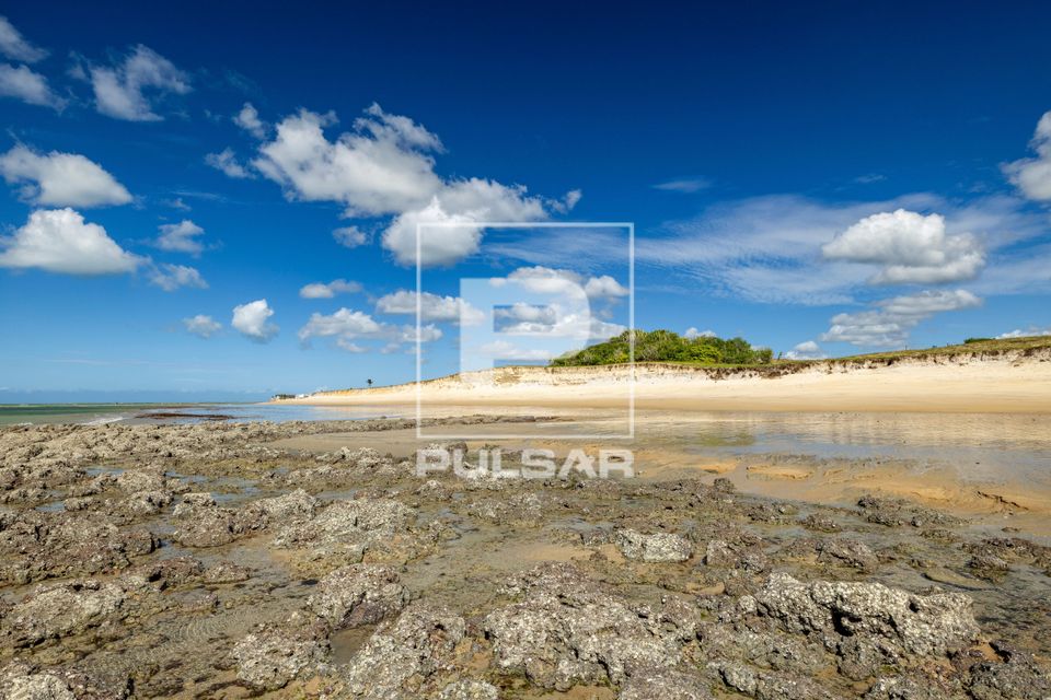 Praia de Monte Alegre - Polo Costa das Dunas