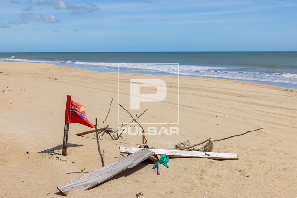Bandeira e madeiras indicando ninho de tartarua - Polo Costa das Dunas
